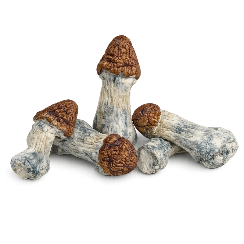 melmac