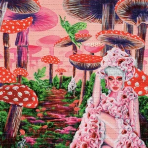 buy lsd shroomland online in canada buy mdma canada 510x494